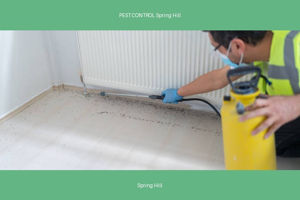 PEST CONTROL Spring Hill